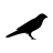 fabercastella5512